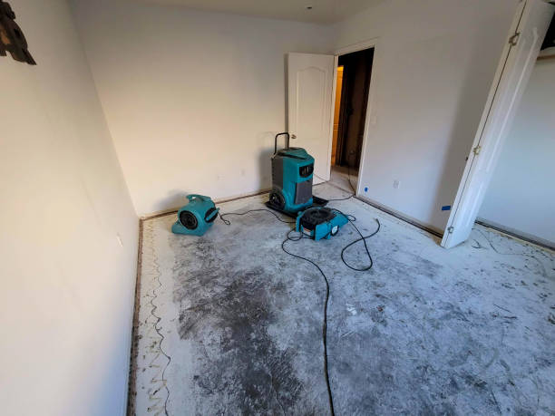  Irrigon, OR Water damage restoration Pros