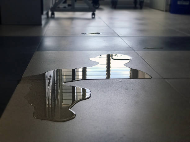 Reliable OR Water damage restoration Solutions